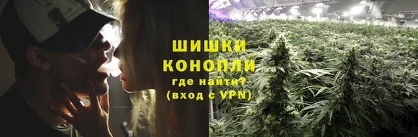 твердый Бронницы