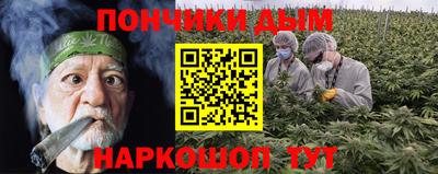 хмурый Гатчина